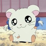 [NCT즌] 우리 웨션언급많아서 행복<b>한나</b>님