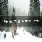 [꼭조언부탁] 아픈 손가락을 드러내지 <b>마라</b>~