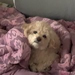 [NCT즌] 우리 새초롬 뭘<b>보노</b> 나 예쁘지님