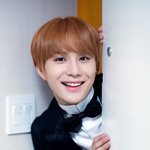 [NCT즌] 우리 강아지인지의심필요<b>한정우</b>님