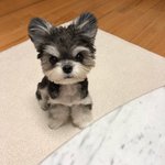 [댓글부탁해] 엄마 <b>생신선물</b> 추천좀 ㅠㅠ
