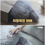 CES에 <b>등장</b>한 반려 로봇