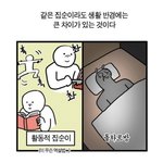 [댓글부탁해] 나 홈트 하루에 한시간씩하는데 살이 안빠져;;