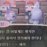 [드루와] 내일 나랑 튀<b>동</b><b>숲</b> 할사람ㅠ