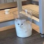 [방탄소년단] 이삐들 나 왜 오늘 뭔가
