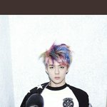 근데 <b>세훈</b> 앵무새 머리 반응