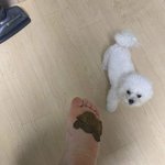 ㅅㅂ 실시간 판녀 <b>봉변</b>당함.jpg