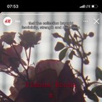 H&amp;M x <b>시몬</b> 로샤