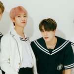 [NCT즌] 이거보고 머리박았<b>다님</b>