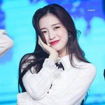 <b>조화</b>가 진짜 조카 중요함