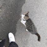 야 나 <b>간택</b>당함ㅋㅋㅋ
