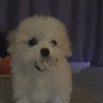 [NCT] 멈머