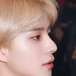 [NCT즌] 우리김정우코보험들어나라세워건물세워집지어라<b>님</b>