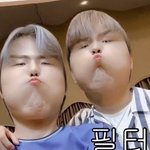 죔동러는아닌데걍이런애들사진이많다노죔동러가<b>이</b>사진들은<b>안</b>쓰는거같길래걍올려본다노님