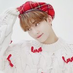 [세븐틴] 셉며들기 <b>직전</b>인 사람인데
