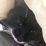 [이것좀봐줘] 눈물 흘리는 그시대 감성 take a <b>look</b>.....