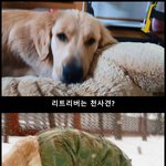 [이것좀봐줘] <b>동심</b>파괴................ 너가 그럴줄...