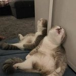 [댓글부탁해] <b>유대</b>종 문학 ㅇㅓ때???