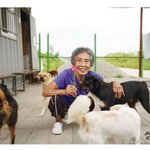 <긴급> 도와주세요!!! 안락사 없는 김포 아지네 마을 철거 위험...