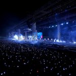 아미들아 <b>이사진</b> 어디뜸