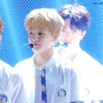 [트레저] 트레저 <b>망상</b>짤 파티 고