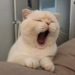 [댓글부탁해] 박광일 훈련도감 <b>반품</b>할 거임??!