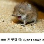 나 진짜 대한민국이 존.나게 혐오스럽다...