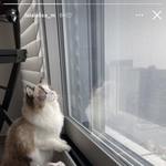 <b>아조</b>나기여으ㅓㅜ