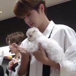 얘들아 <b>모리</b> 주인 분 ㄹㅇ 퇴사하셨냐