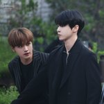 [NCT즌] 와 포타 한편 뚝딱