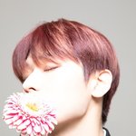 어넓골좁의 표본 남자 아이돌