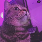 [펜타곤] 유토 새로운 <b>취미</b>라면서 올라온