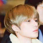 [TXT] 사실 난 범규 은발보다