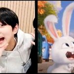 스노우볼 닮은 신인남돌