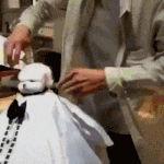 [NCT즌] 우리 김정우님 <b>미용</b>하는모습