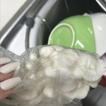 [19] 팽이<b>버섯</b> 왜 커졌냐;