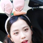 블랙핑크 설치류 닮음