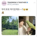 [모두드루와] 앵무새 키우는 남돌