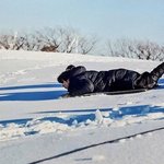 눈 오면 세상에서 제일 <b>신난</b> 배우