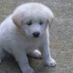 [드루와] 형광펜이 <b>비닐</b> <b>포장</b> 없이 왔엉