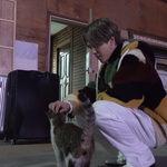 [방탄소년단] 와 고양이 첨본 <b>사람</b>한테