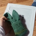 [이것좀봐줘] 토끼 10마리 <b>입양</b>했어!