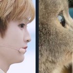 [NCT] 마크는 애옹<b>이임</b>이 틀림없어