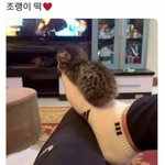 <b>조명</b> 바로 밑에 있으면 못생겨짐?