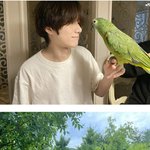 [드루와] 팬들 <b>당혹</b>시킨 아이돌의 숨은앵무새찾기