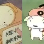 [댓글부탁해] 쌍수 풀린거 <b>재수술</b>도 돈내야돼???