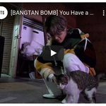 방탄지민한테 감긴 고양이 진짜 냥이 맞지 신기해