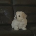 [NCT즌] <b>대갈</b>이 너무 귀엽다 돌아버릴거같음