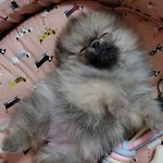 [댓글부탁해] 고3 <b>수험</b>생활 끝내면서 느낀거