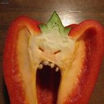 [펜타곤] 누가봐도 <b>고시</b>넌